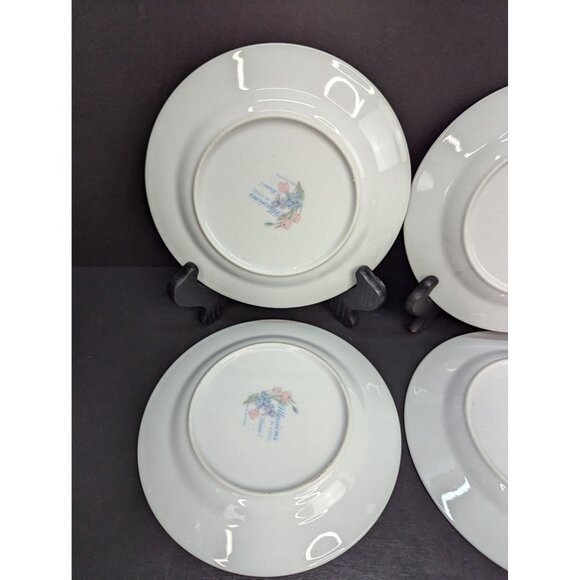 Illusions By Excel Scene 1 Floral Rim 7" Bread Plate Replacement Set of 4 - Picture 6 of 9